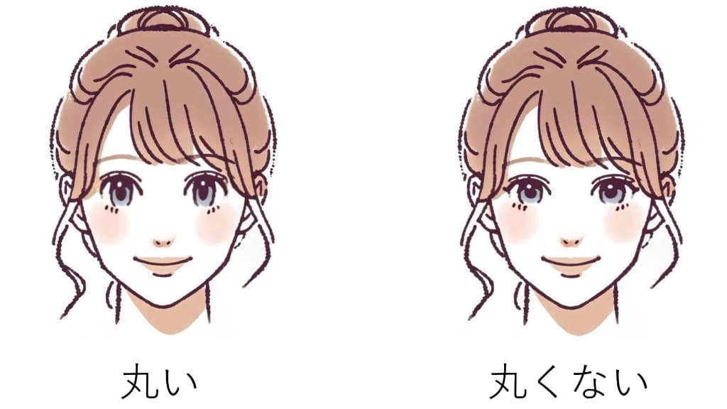 目は丸い？