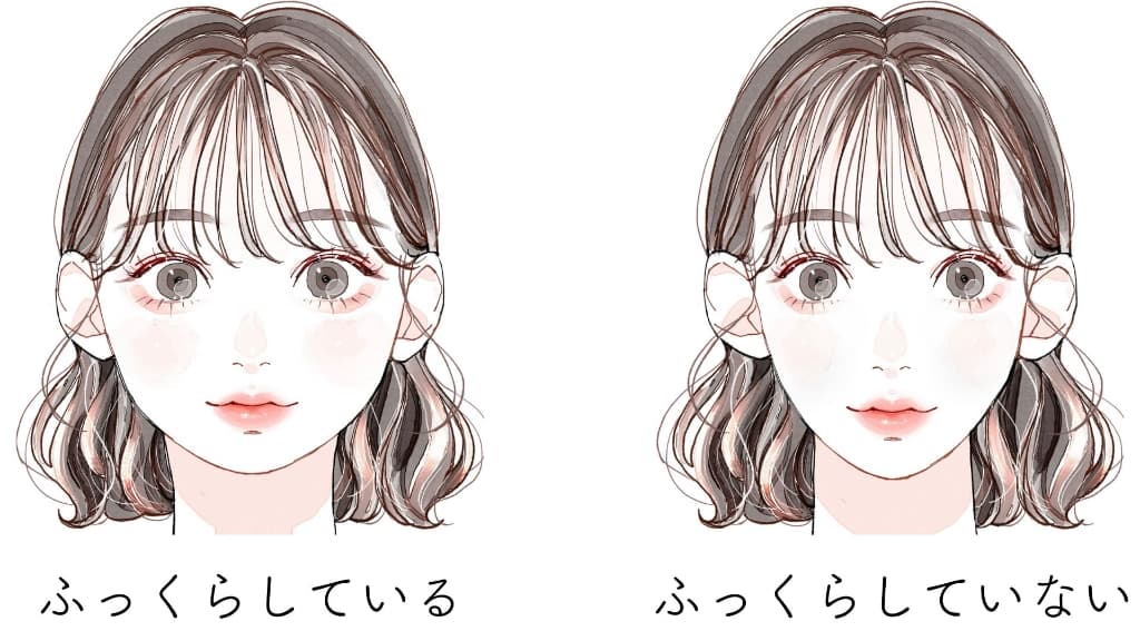 頬の丸みは？