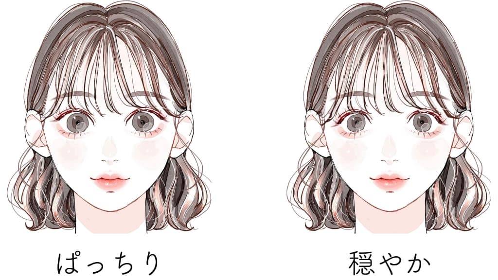 目の感じは？
