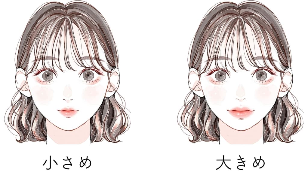口の大きさは？
