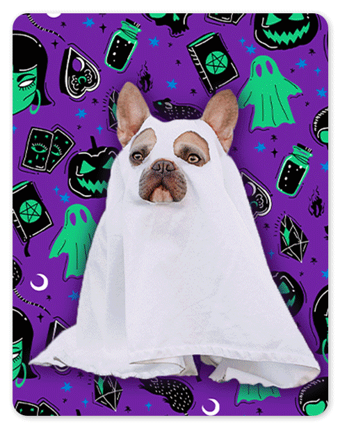 Halloween 2024: Sfondo Halloween Simpatico