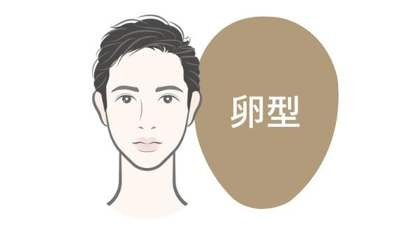 卵型