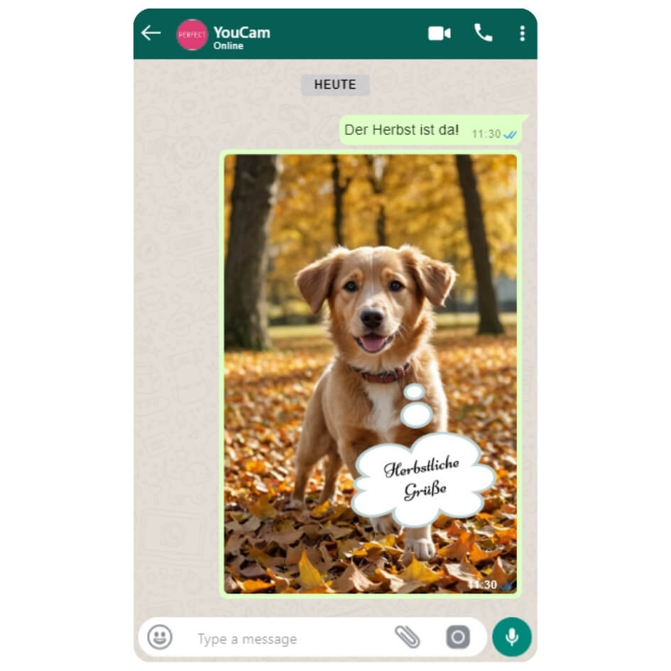 Herbstgrüße für WhatsApp kreativ gestaltet