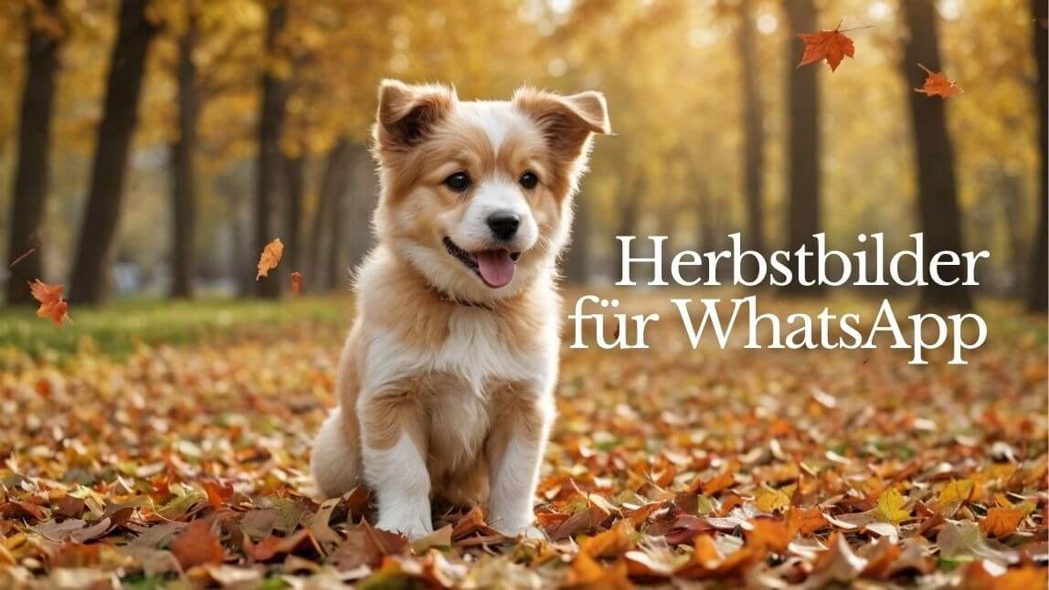Herbstbilder für WhatsApp erstellen