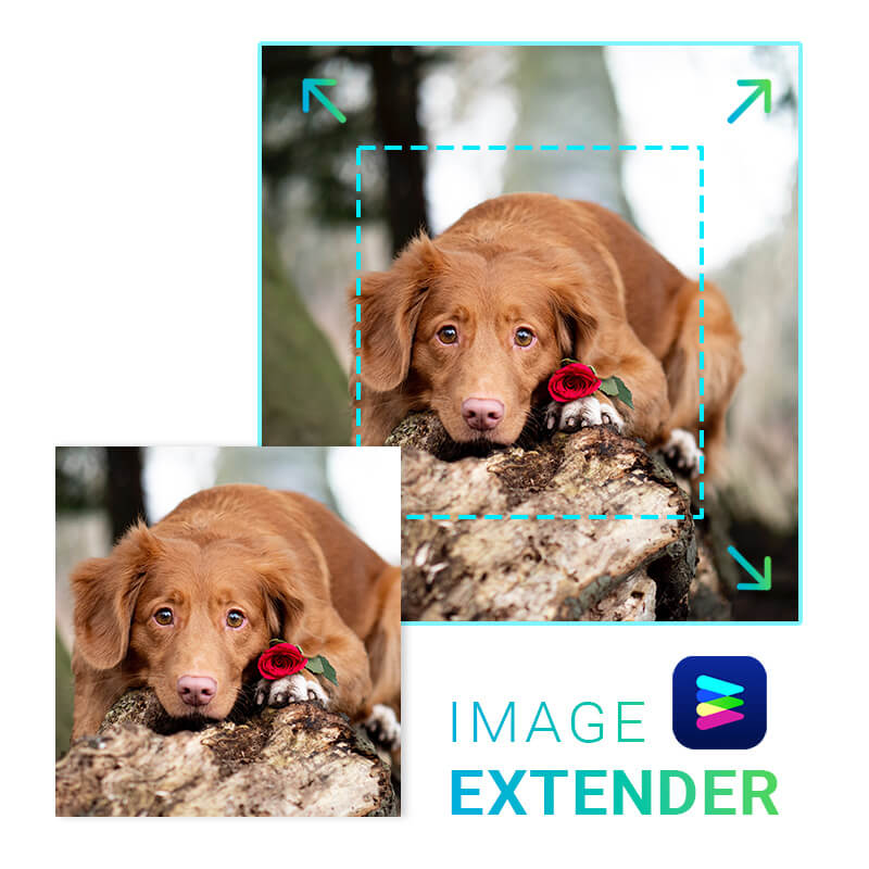 Agrandir l'image rapidement et facilement.