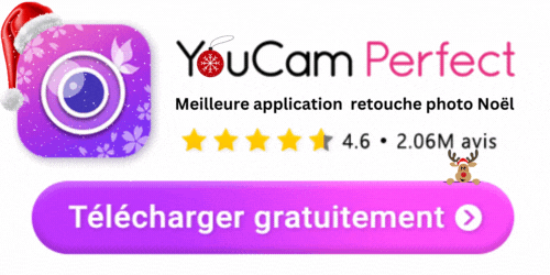 Télécharger YouCam Perfect