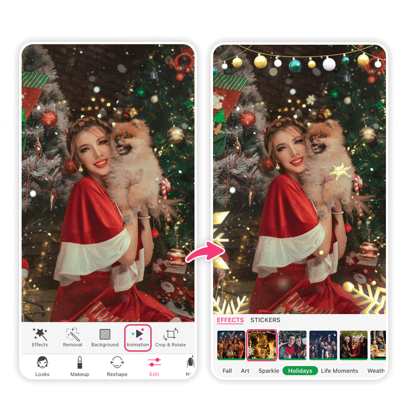 Foto de natal com cachorro editado com filtro