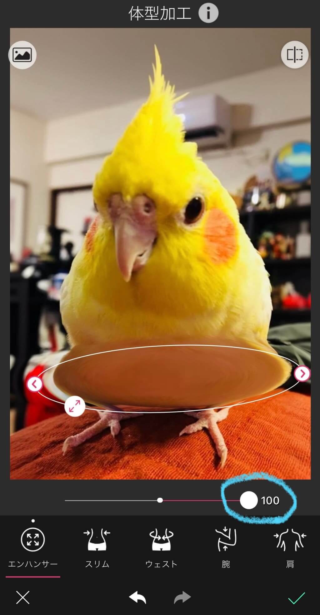 ツールバーを右にスライド