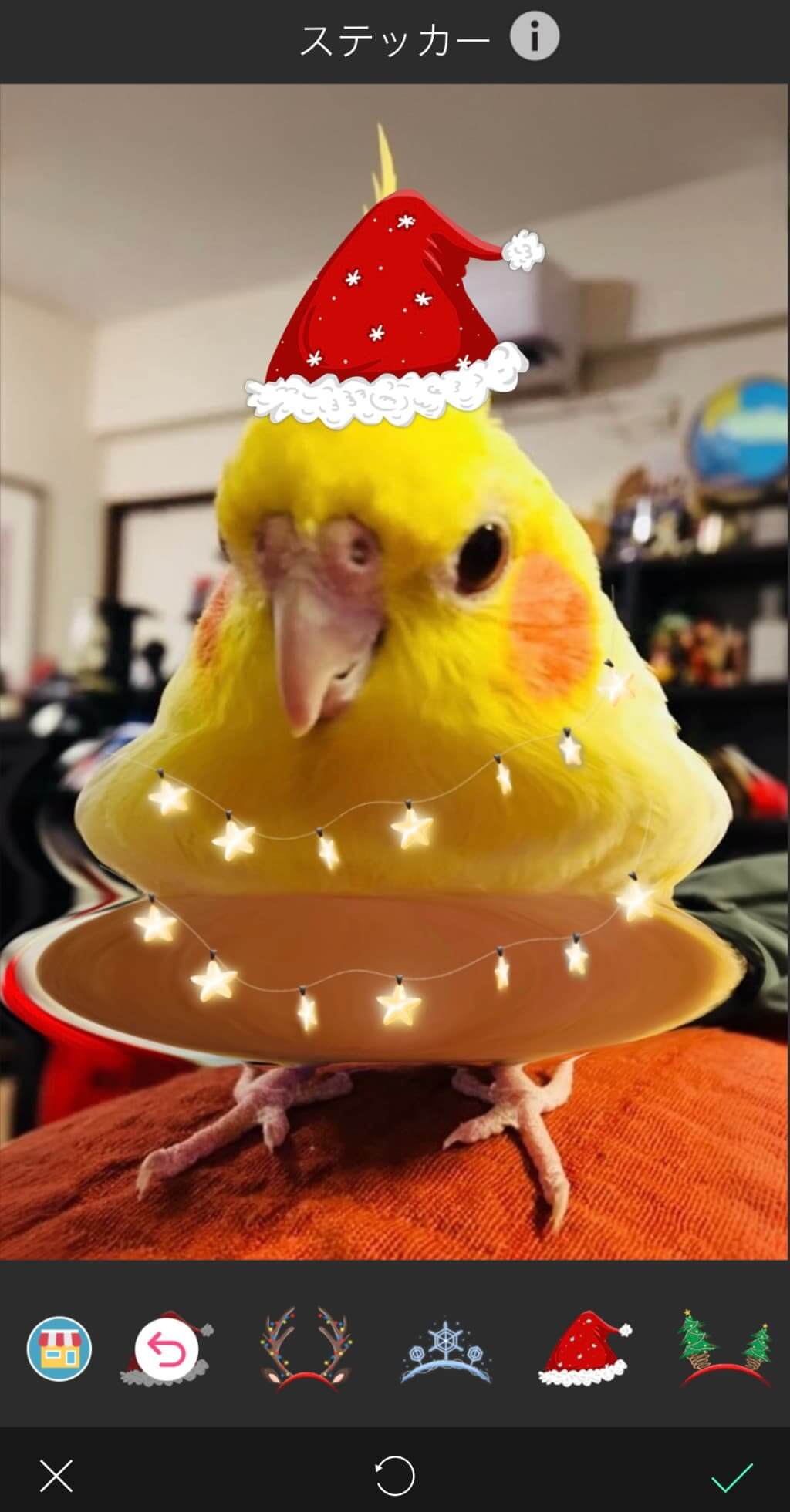 クリスマスツリー加工をデコる