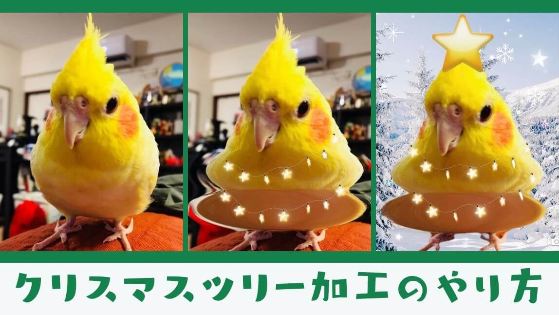 【Xで話題】ペットのクリスマスツリー加工のやり方！猫や犬の写真がツリー風に変身【2024年最新】