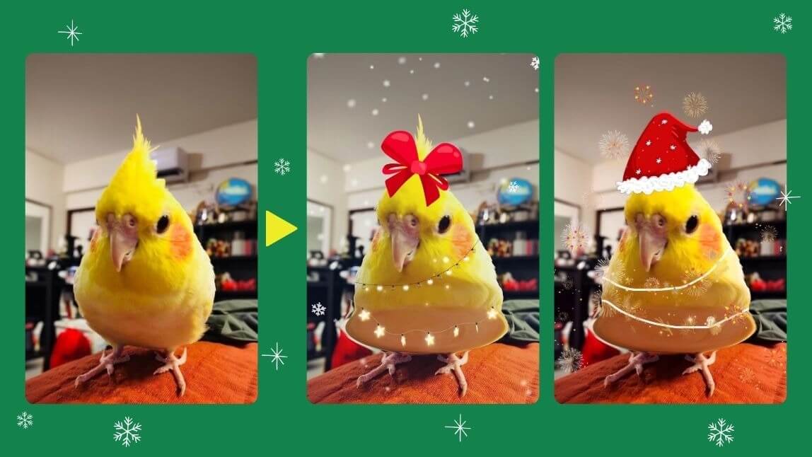 聖誕照片延伸閱讀文章推薦