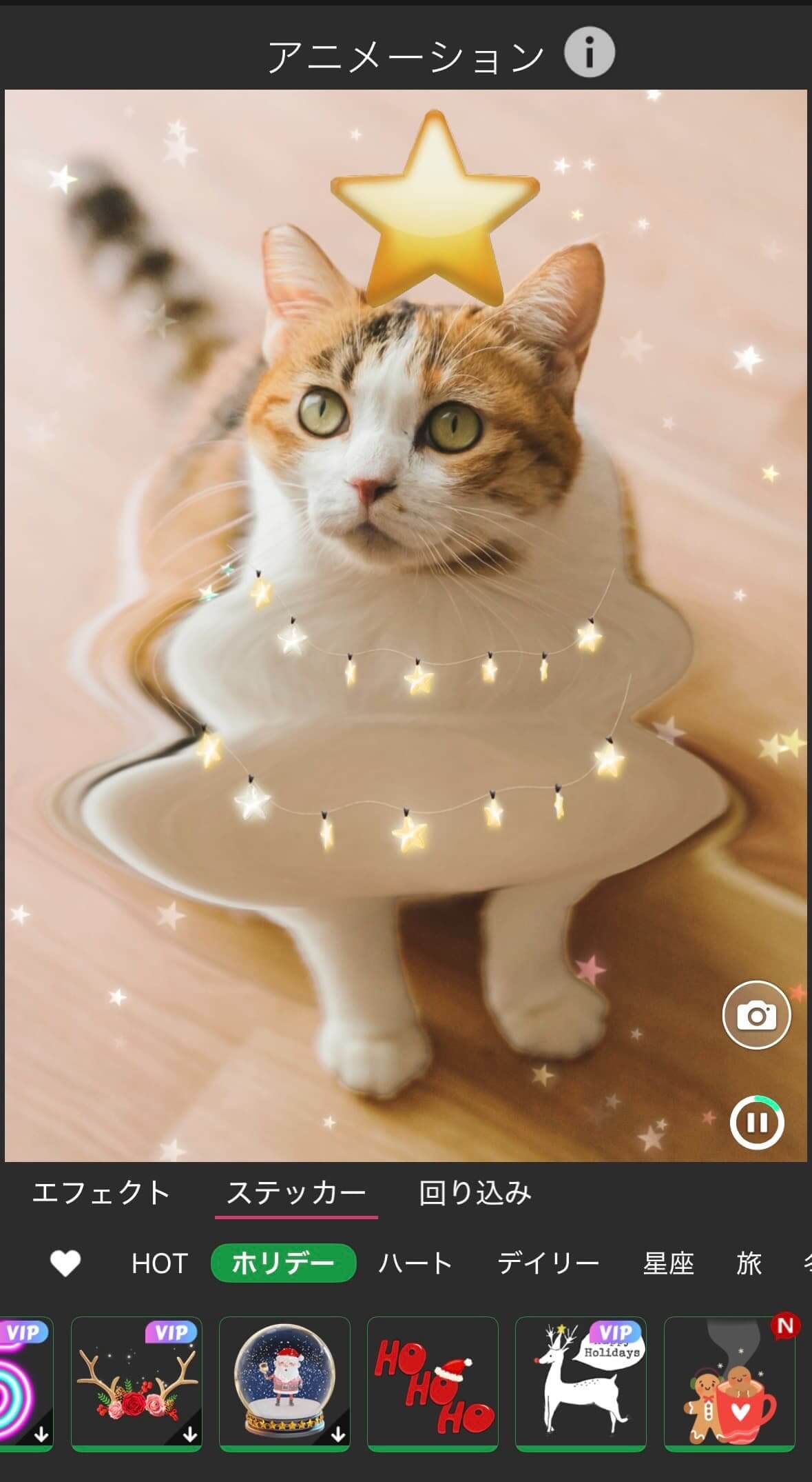 猫でクリスマスツリー加工する様子