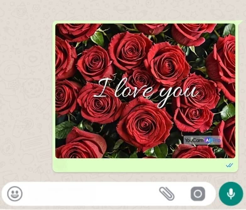 WhatsApp-Nachricht mit einem Bild von roten Rosen und dem Text "I love you".