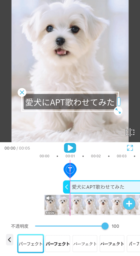 おしゃれなフォントがたくさん