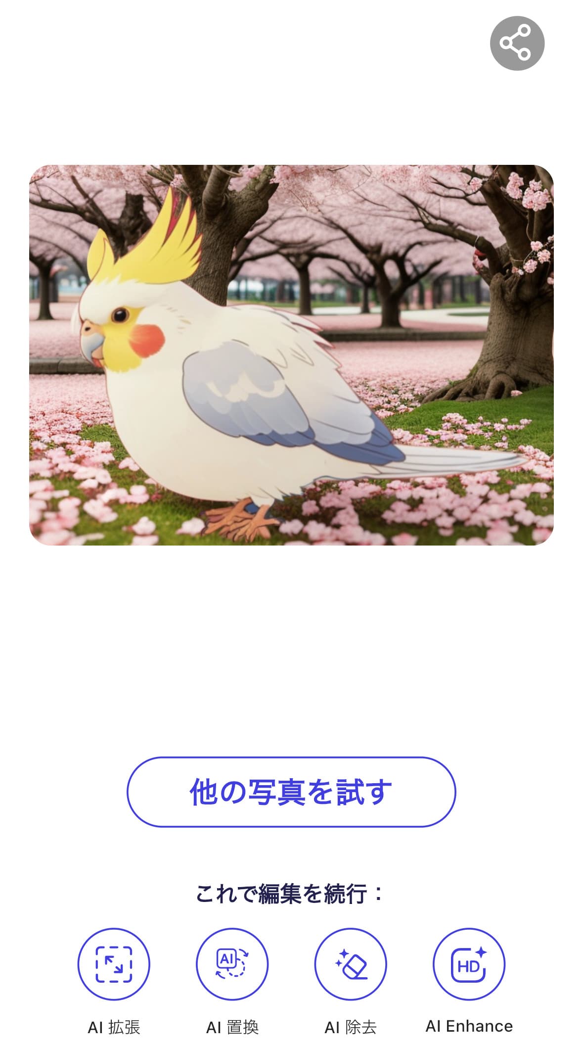 保存画面