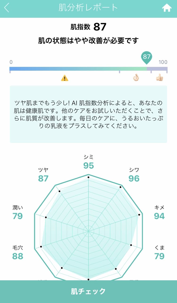 肌分析レポート　画面