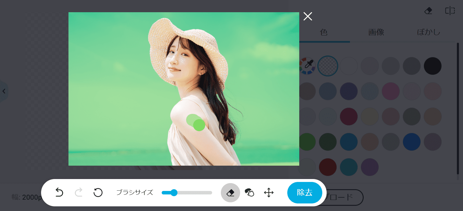 背景切り抜き　修正画面