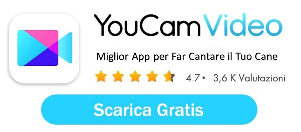 Miglior App per Creare Video del Cane che Canta