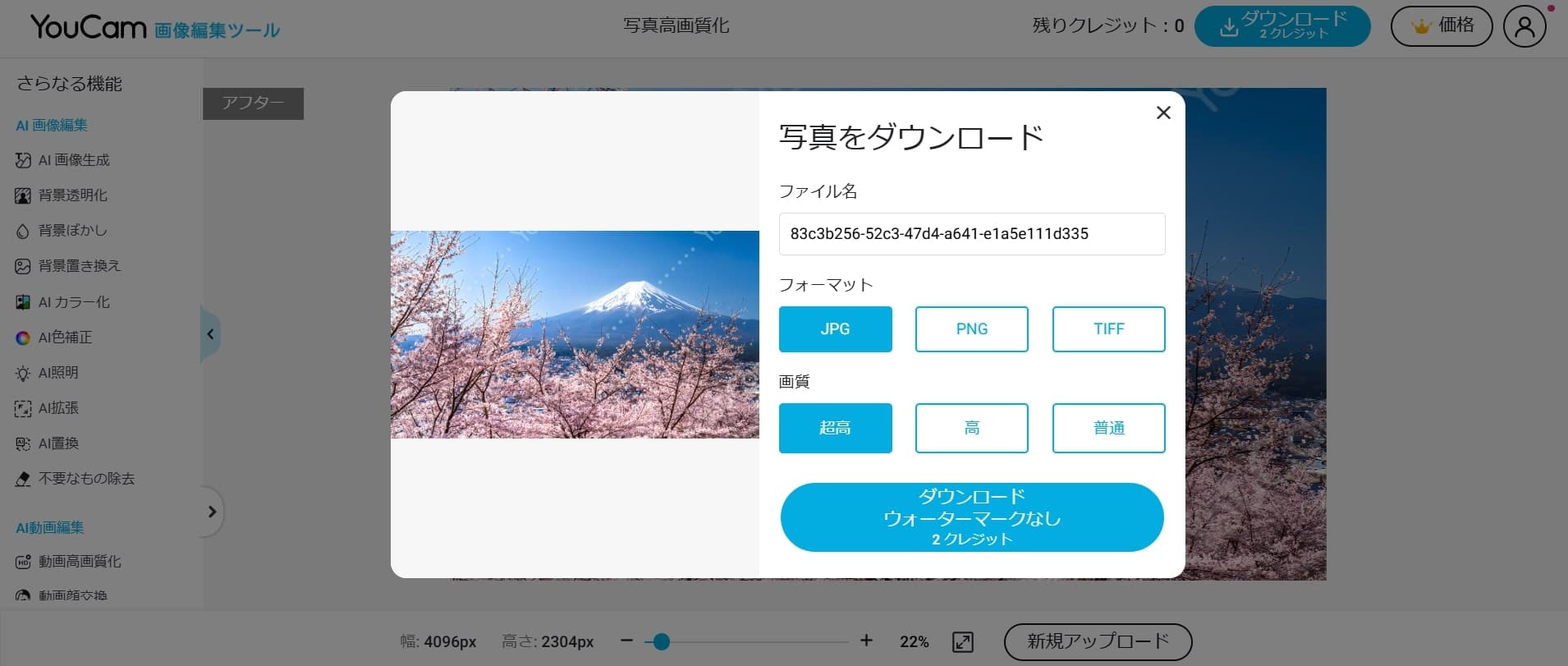 保存形式を選ぶ