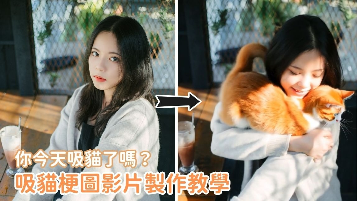 自製超可愛吸貓梗圖影片