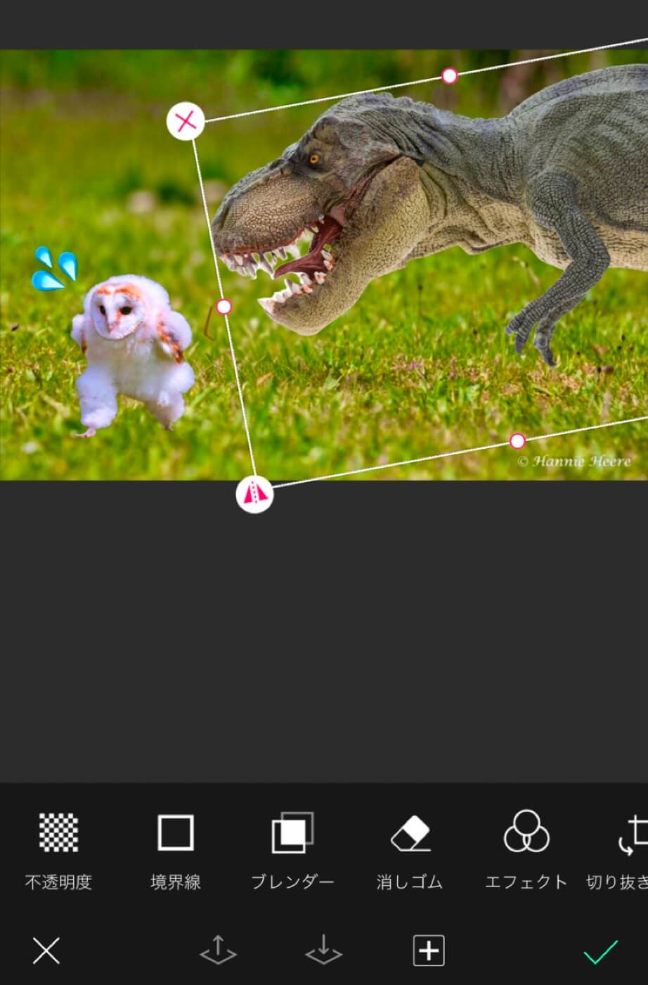 走るフクロウのコラ画像