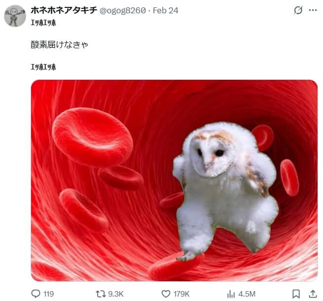 走るフクロウの加工①
