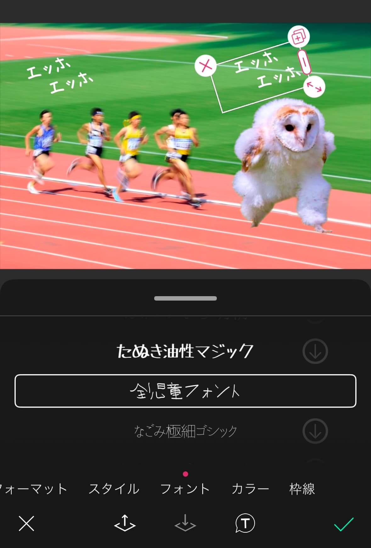 エッホエッホと入力