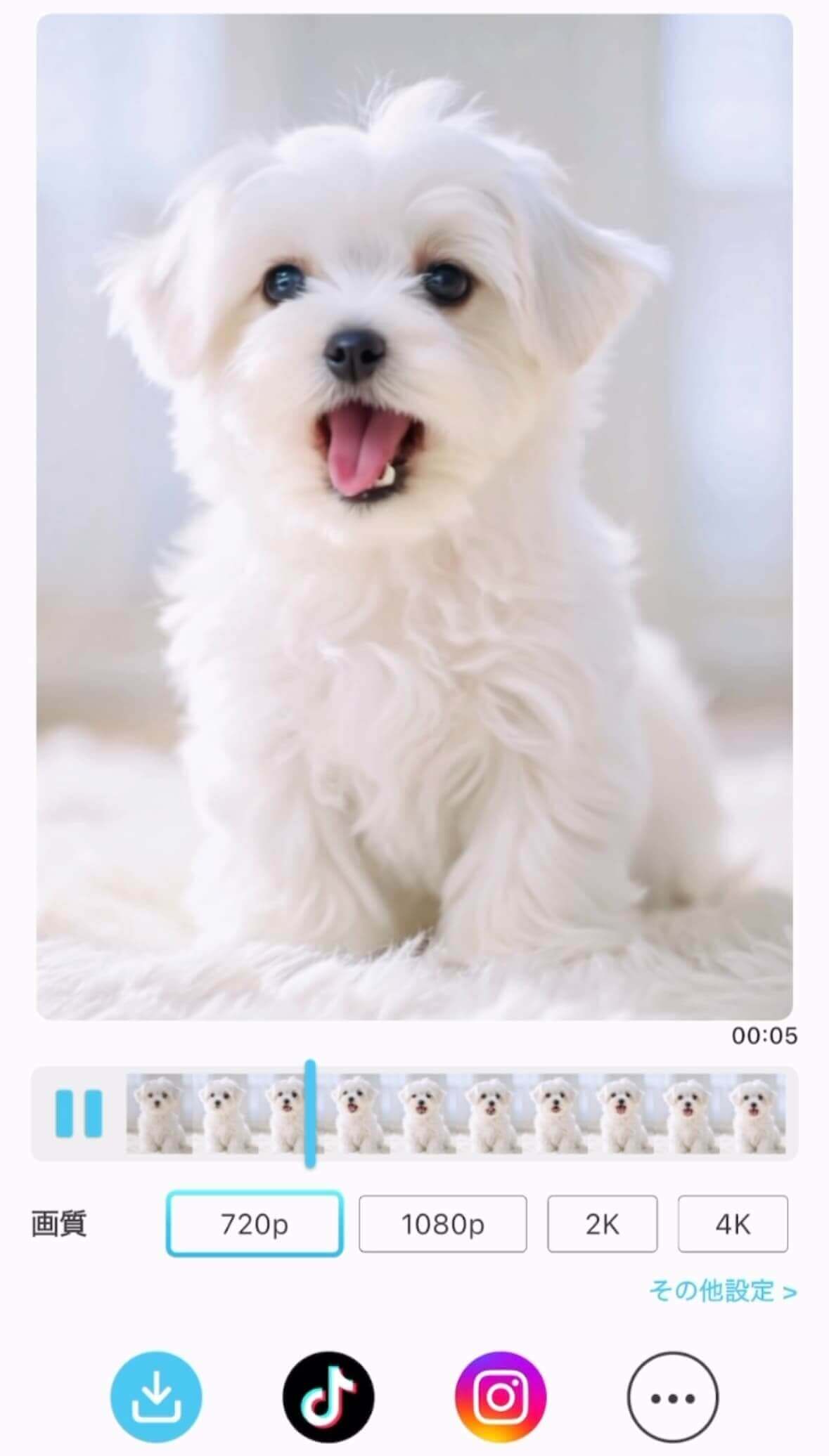 歌う犬の動画をダウンロード