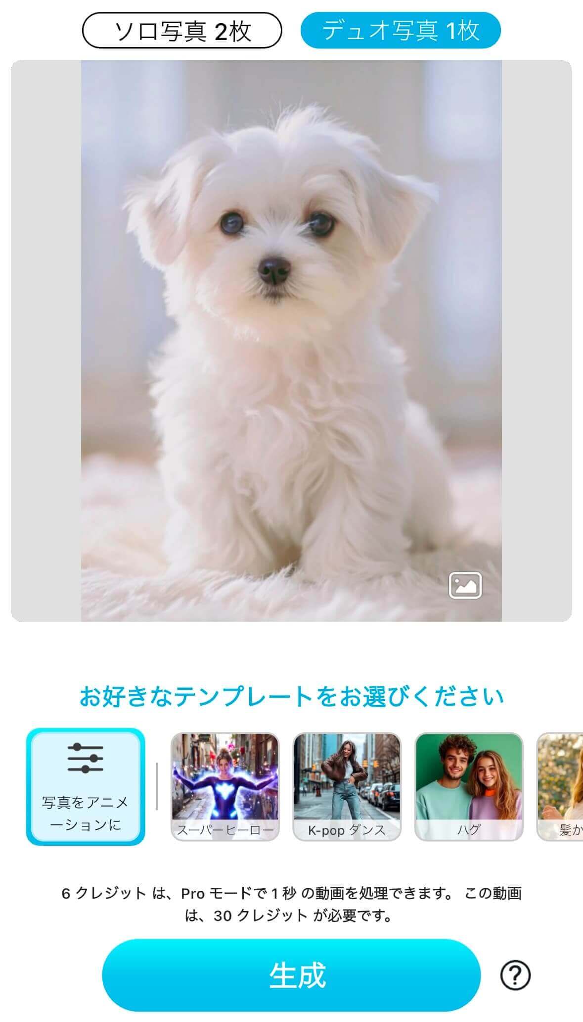 犬の写真を追加