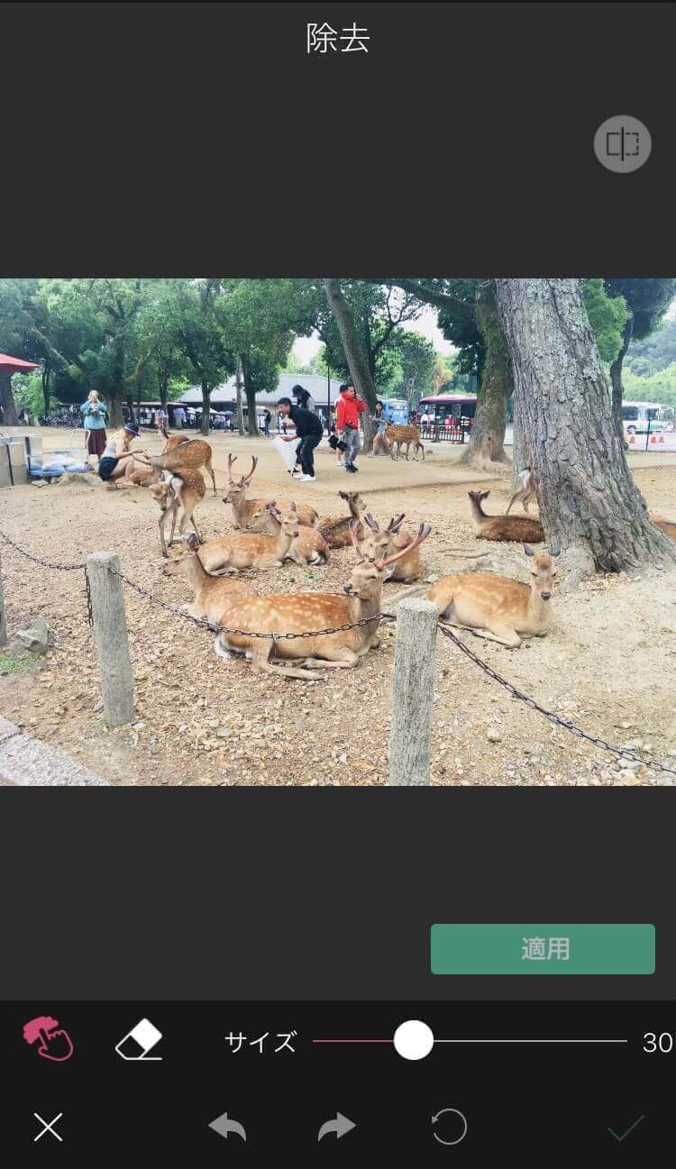 シカの写真