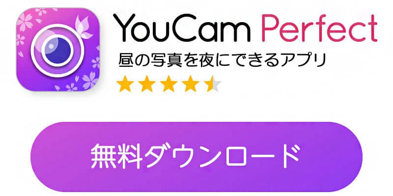 YouCam Perfectダウンロード画面
