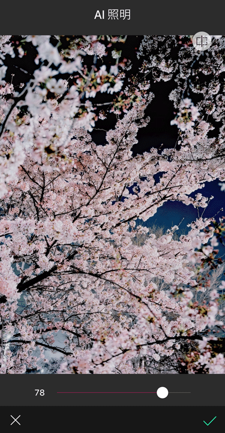 夜桜が明るく見えるように補正