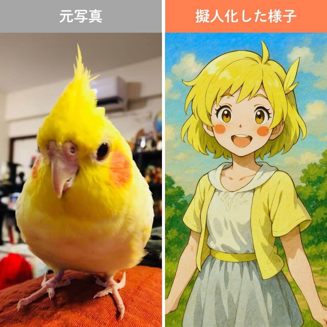 オカメインコを擬人化