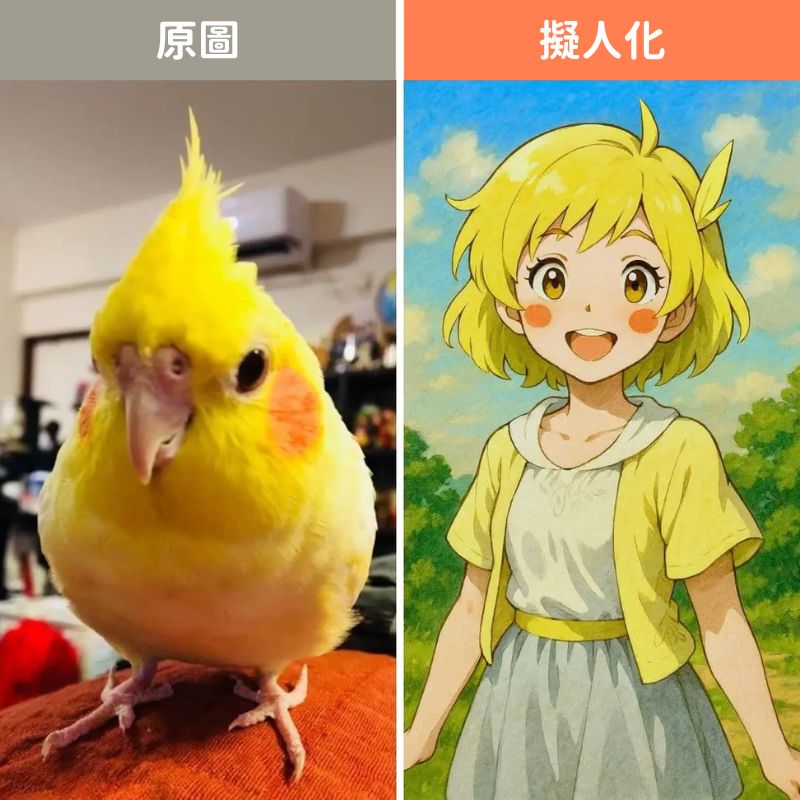 鸚鵡擬人化