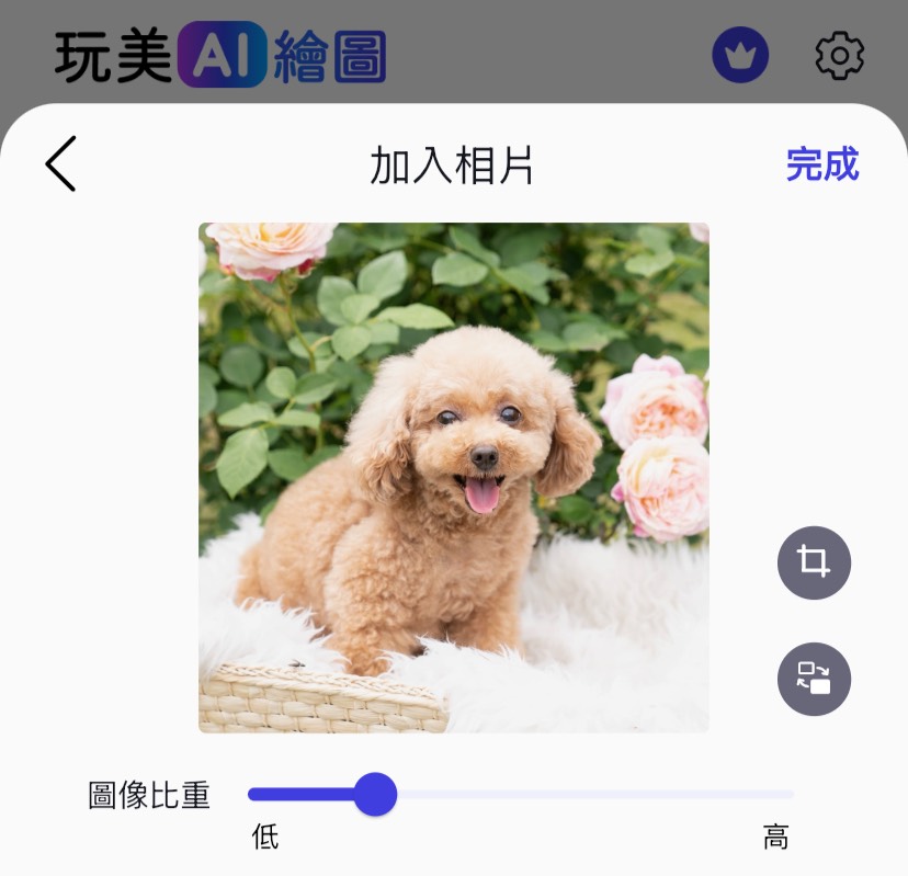 上傳寵物照片