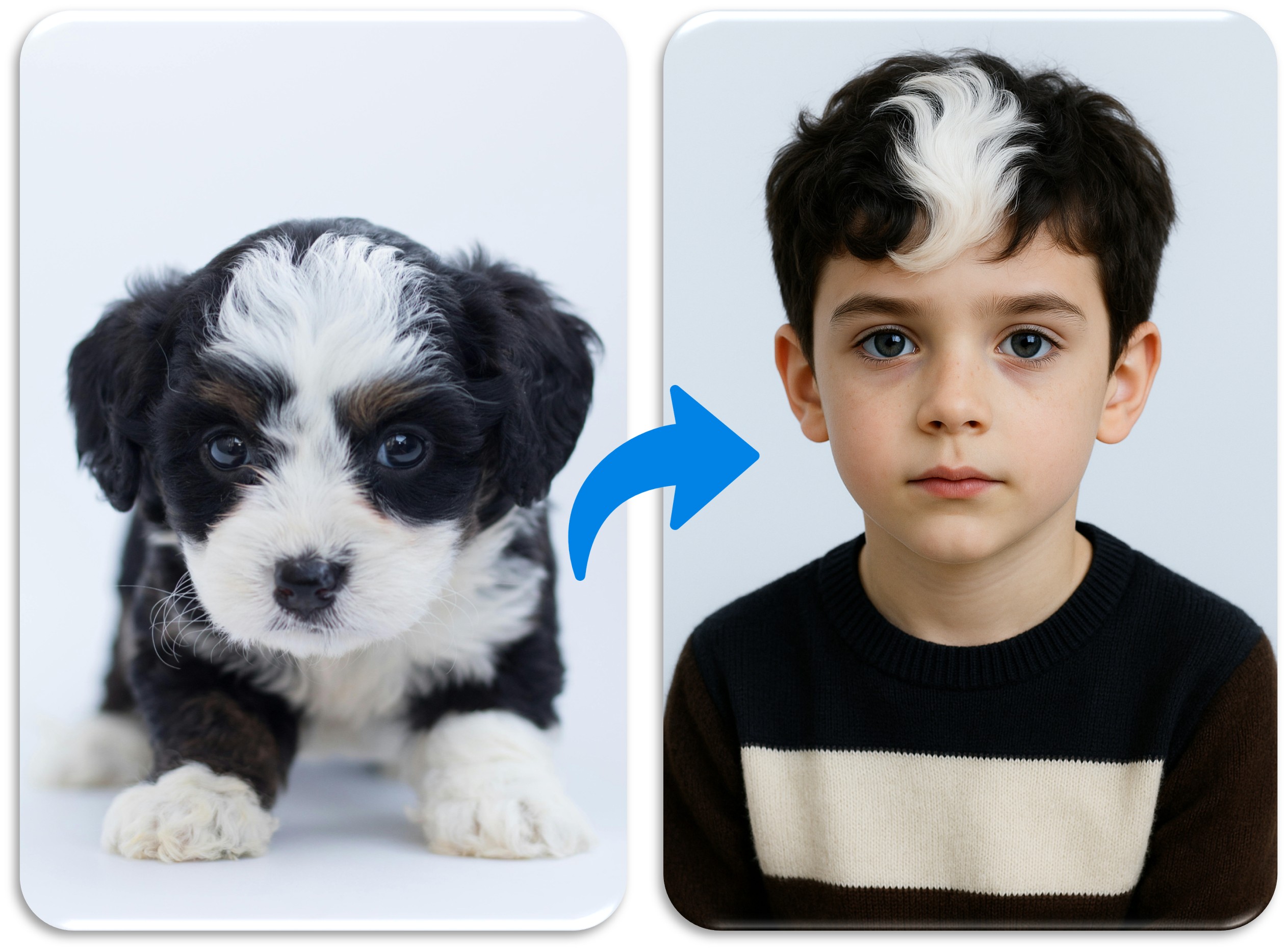 ChatGPT da Cane a Umano: Come Trasformare Cane in Persona