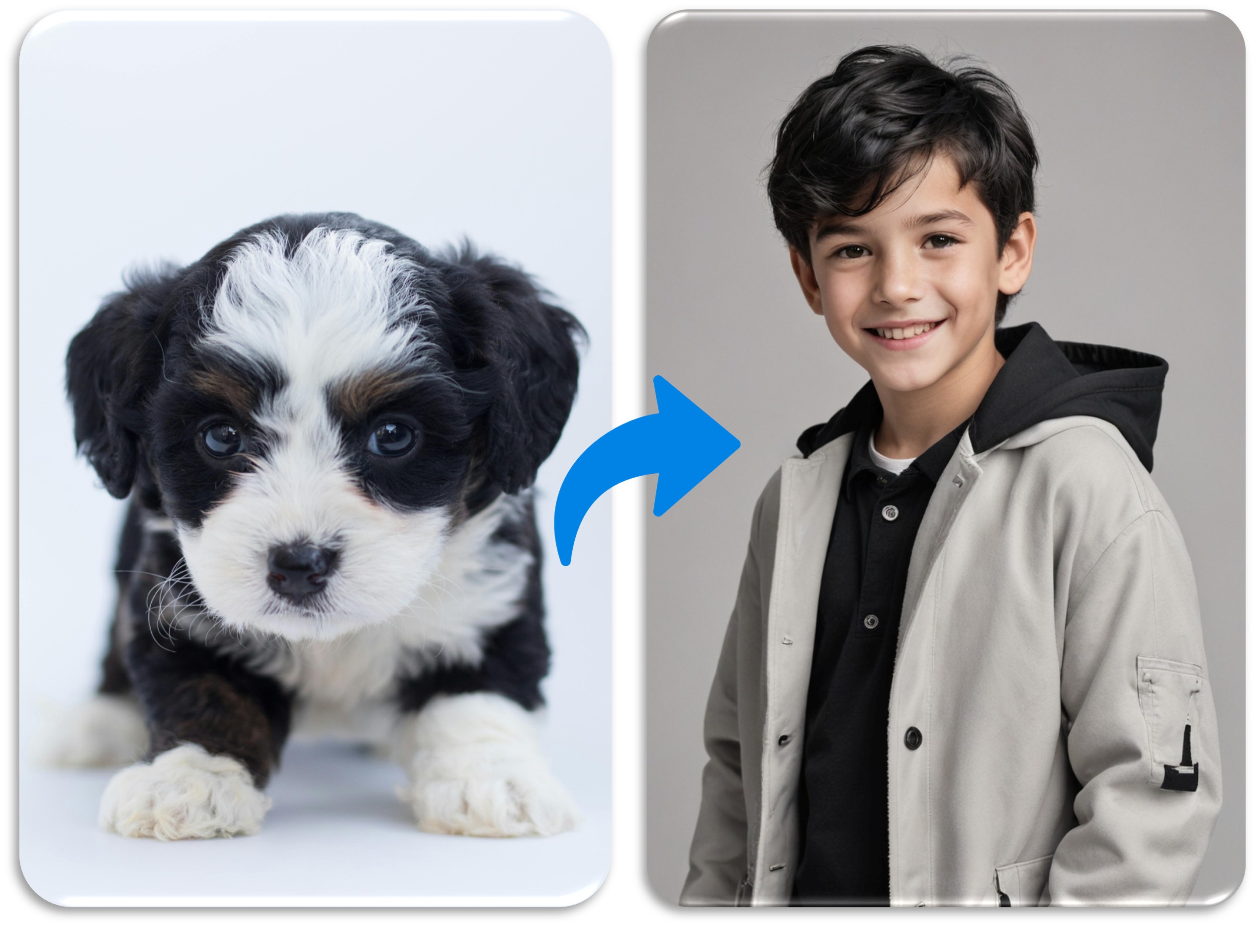 Elisa | Hunde Content Creator (@hundterbunt) • Instagram photos and videos, image size:2526x1865