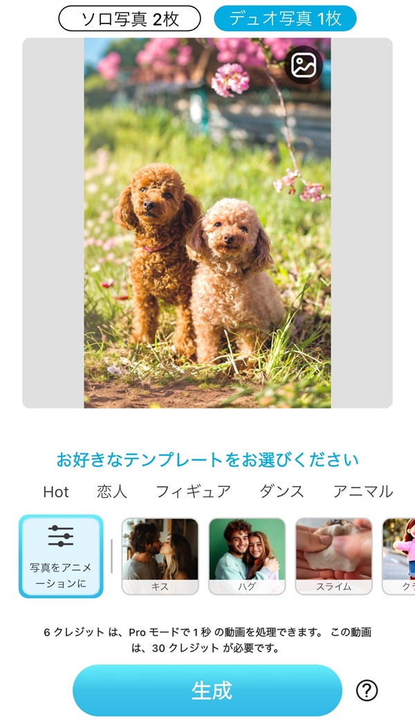 犬の写真をアップロード