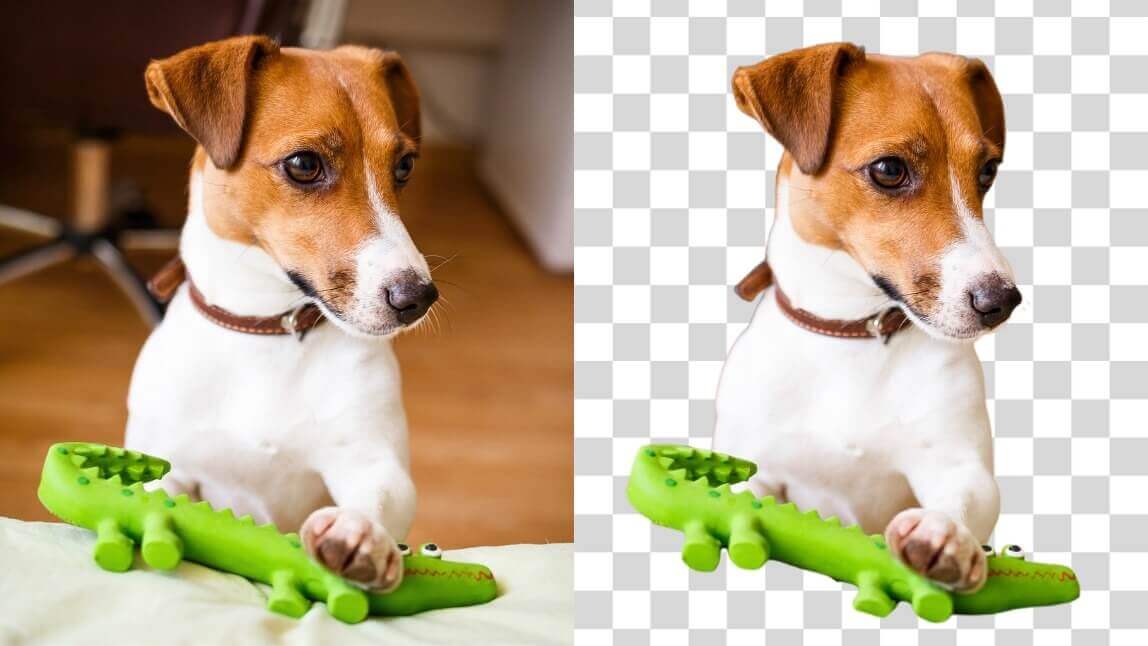 写真の背景を消すアプリ