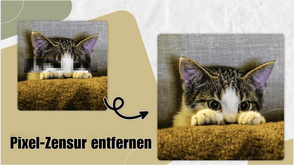 Vergleichsbild: Katze mit Pixel-Zensur und entfernten Zensurbereich – Pixel-Zensur entfernen mit YouCam Online Editor