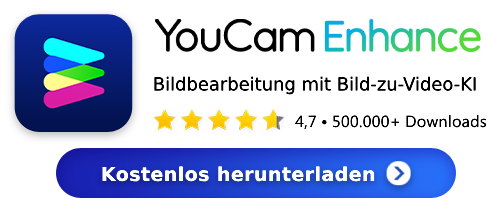 Ladie dir YouCam Enhance herunter und erstelle dein OIIA Cat Video