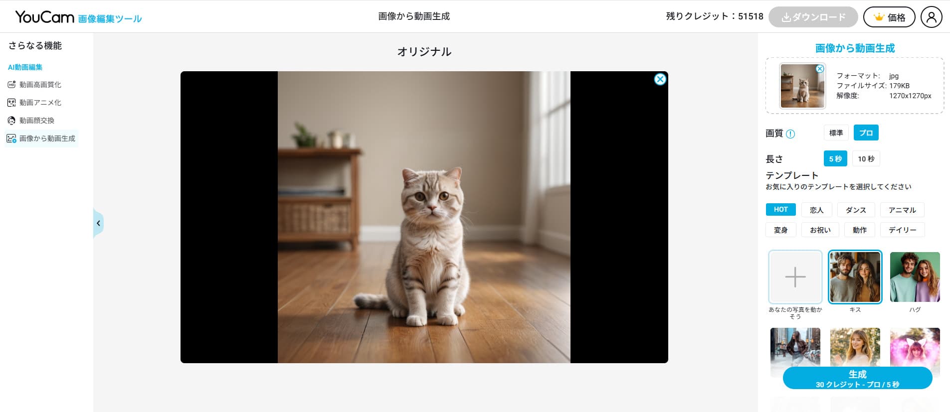 猫の画像を加える