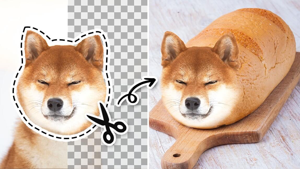 배경 제거 및 변경