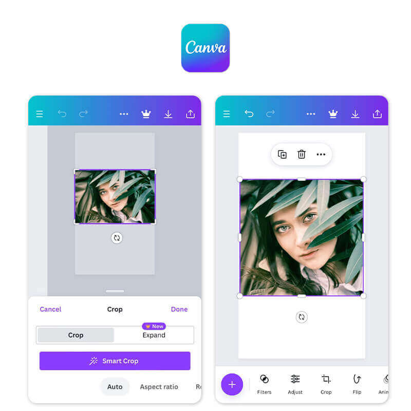 canva es una app para expandir imagenes con IA