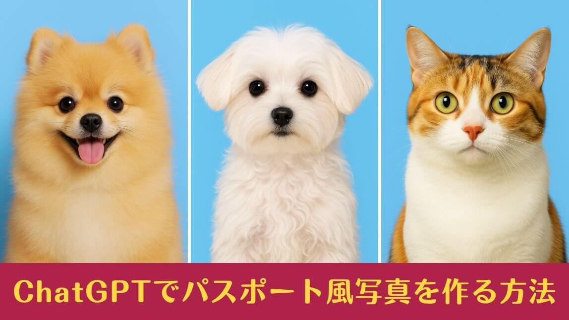 【話題】ChatGPTでペットのパスポート写真を作ってみた！やり方も紹介【2025年最新】