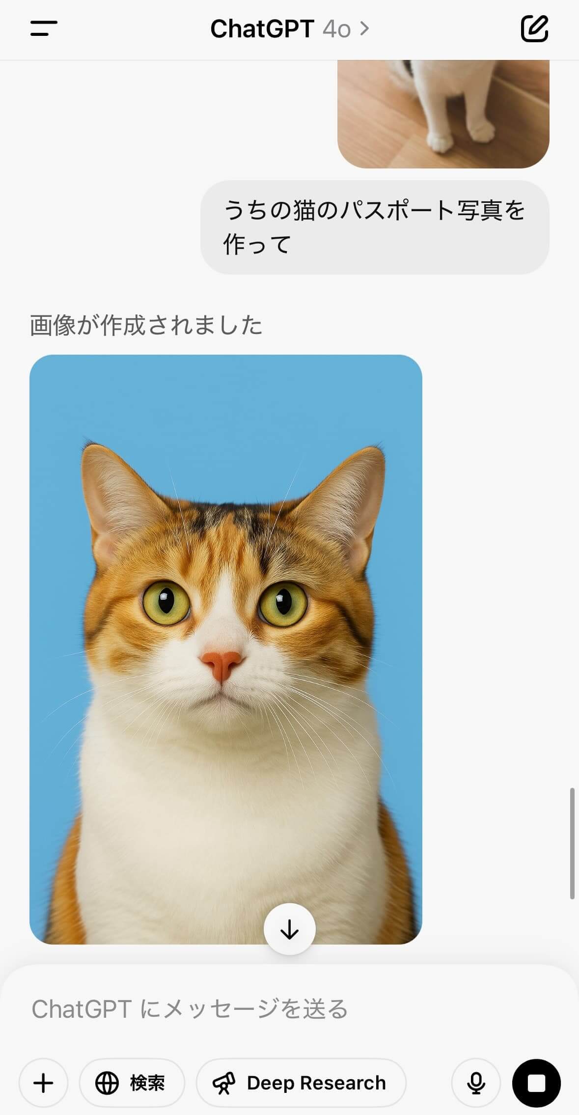 猫がパスポート写真になった様子