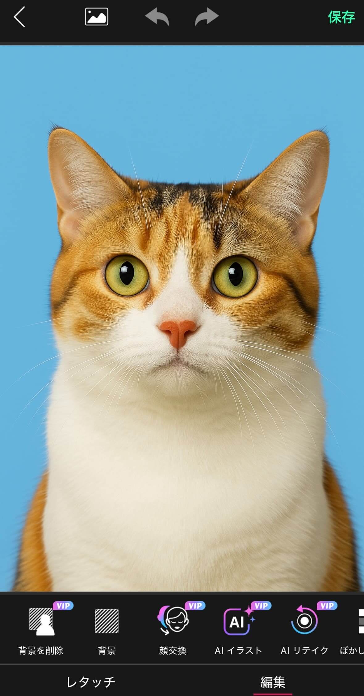 写真をアップロードした様子