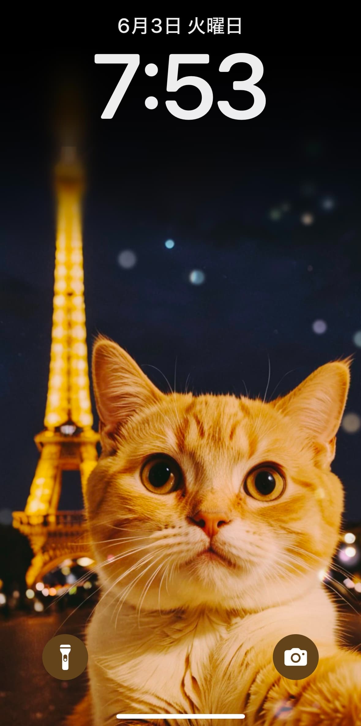 作った自撮り猫を壁紙にするのもおすすめ
