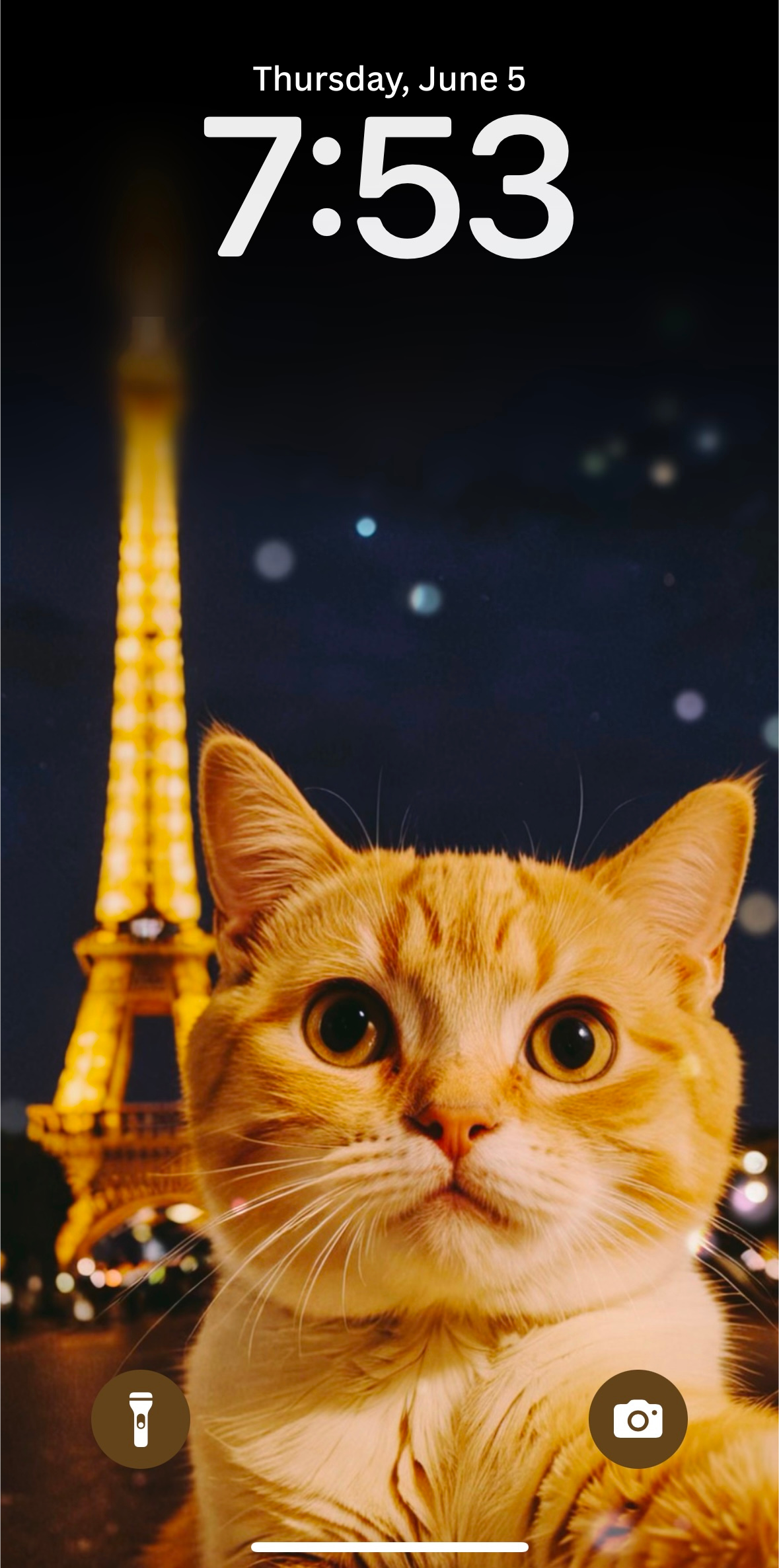 Verwende dein generiertes Cat Selfie als Hintergrundbild auf dem Handy.