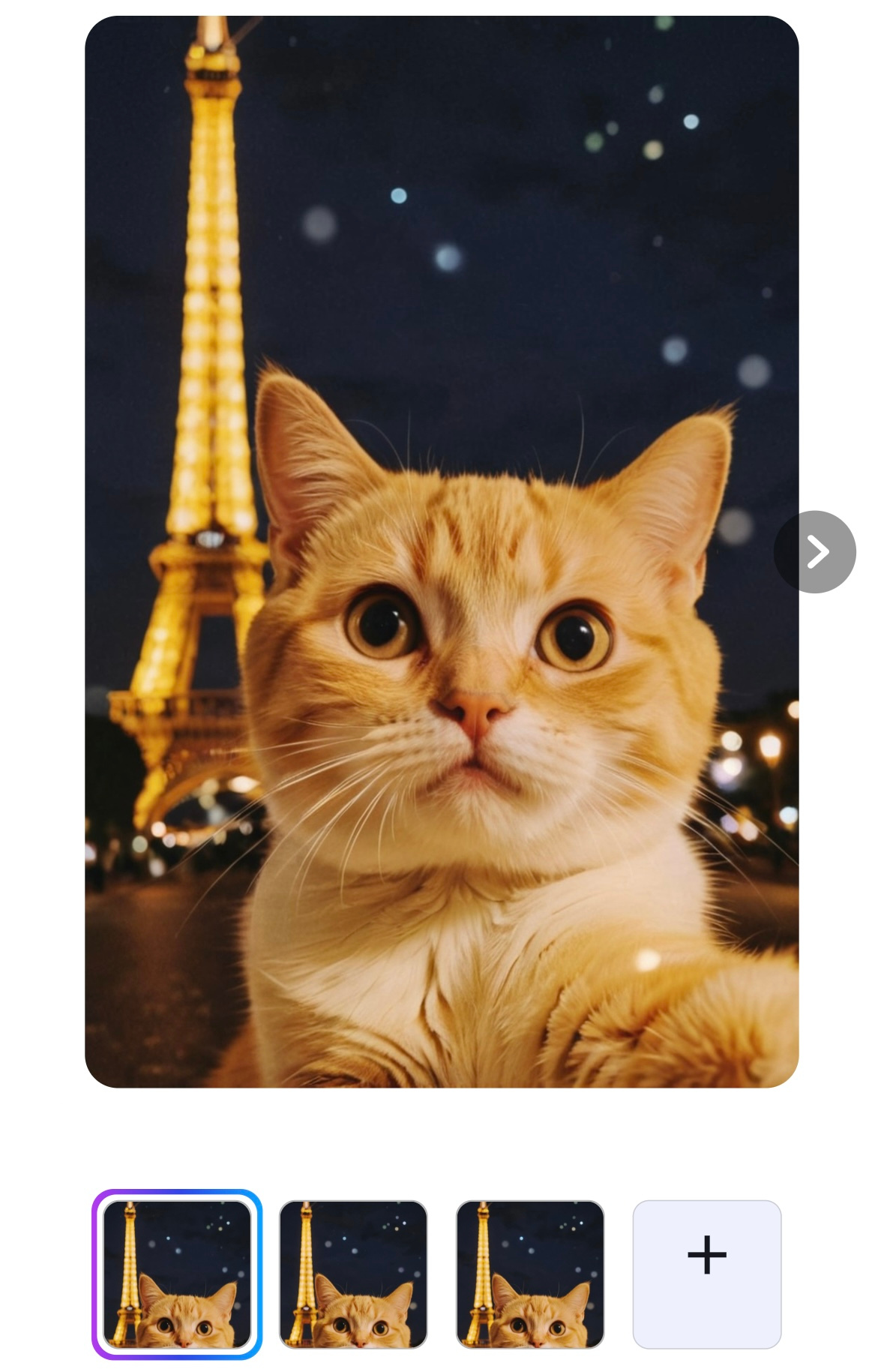 Erstelle in wenigen Schritten deine eigene Selfie Katze in Paris.